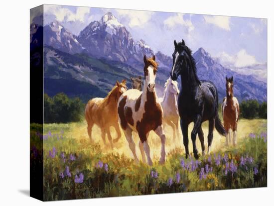 Stretched Canvas Print, , large