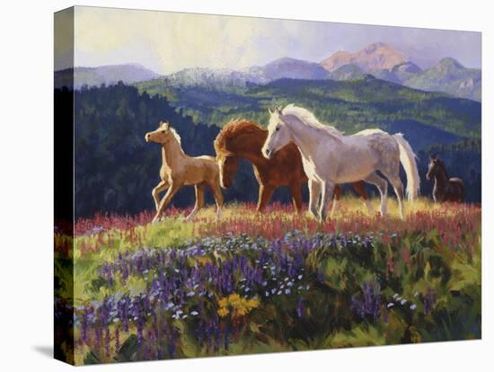 Stretched Canvas Print, , large