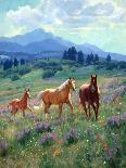Horses at Big Wash-Claire Goldrick-Art Print