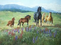 Horses at Big Wash-Claire Goldrick-Art Print