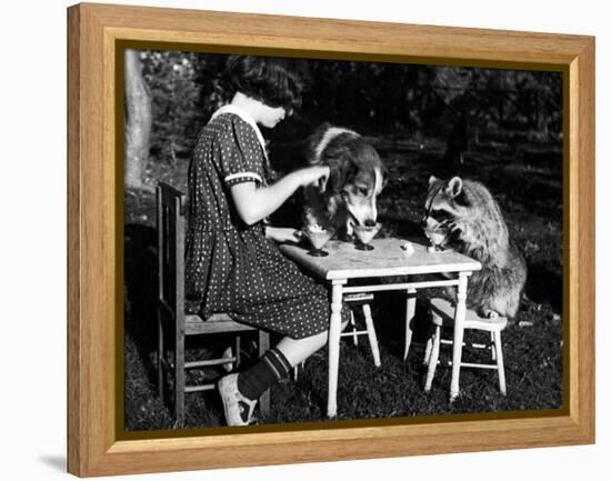Claire Shorrock Giving Ice Cream Party with Pet Dog and Raccoon-null-Framed Premier Image Canvas