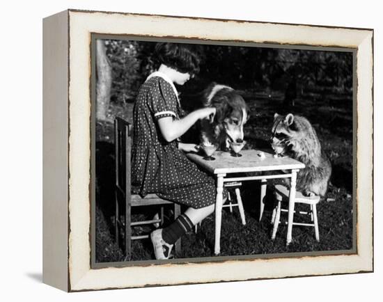 Claire Shorrock Giving Ice Cream Party with Pet Dog and Raccoon-null-Framed Premier Image Canvas