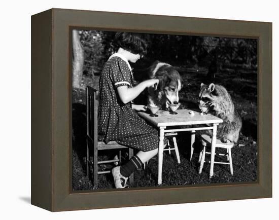 Claire Shorrock Giving Ice Cream Party with Pet Dog and Raccoon-null-Framed Premier Image Canvas