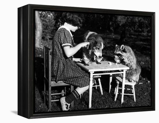 Claire Shorrock Giving Ice Cream Party with Pet Dog and Raccoon-null-Framed Premier Image Canvas