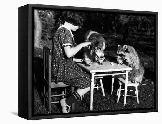 Claire Shorrock Giving Ice Cream Party with Pet Dog and Raccoon-null-Framed Premier Image Canvas