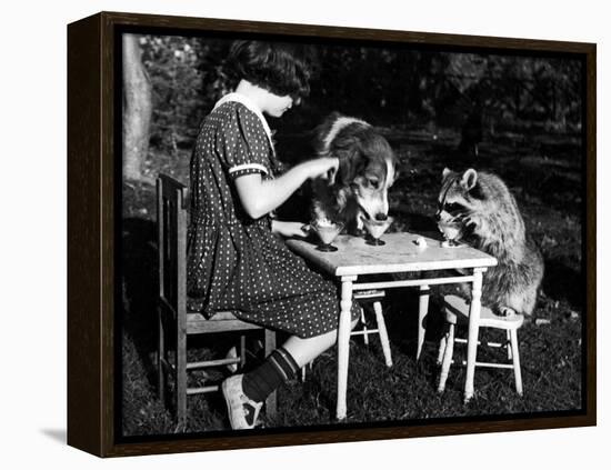 Claire Shorrock Giving Ice Cream Party with Pet Dog and Raccoon-null-Framed Premier Image Canvas