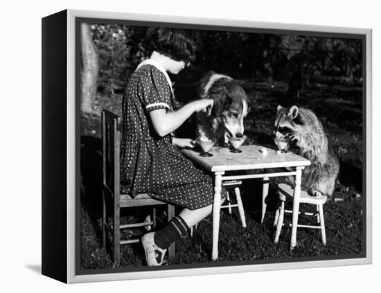 Claire Shorrock Giving Ice Cream Party with Pet Dog and Raccoon-null-Framed Premier Image Canvas