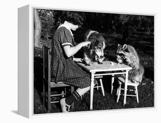 Claire Shorrock Giving Ice Cream Party with Pet Dog and Raccoon-null-Framed Premier Image Canvas