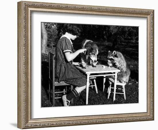 Claire Shorrock Giving Ice Cream Party with Pet Dog and Raccoon--Framed Photographic Print