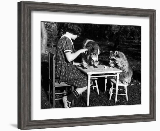 Claire Shorrock Giving Ice Cream Party with Pet Dog and Raccoon--Framed Photographic Print