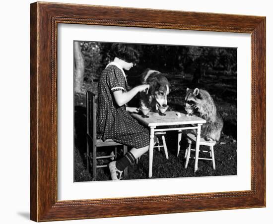 Claire Shorrock Giving Ice Cream Party with Pet Dog and Raccoon--Framed Photographic Print