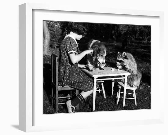 Claire Shorrock Giving Ice Cream Party with Pet Dog and Raccoon--Framed Photographic Print