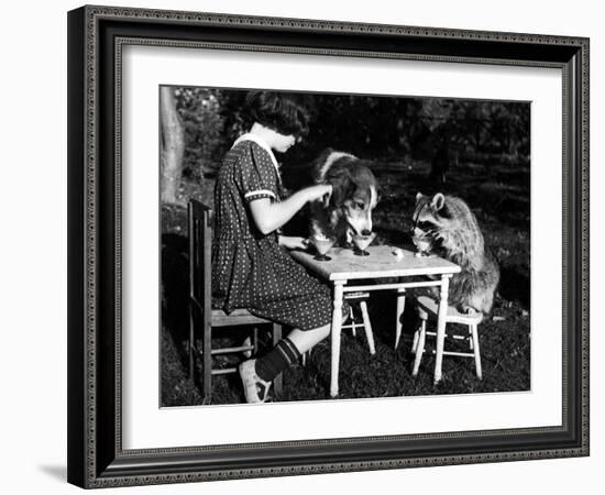 Claire Shorrock Giving Ice Cream Party with Pet Dog and Raccoon--Framed Photographic Print