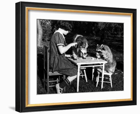 Claire Shorrock Giving Ice Cream Party with Pet Dog and Raccoon--Framed Photographic Print