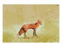 Snow Hare-Claire Westwood-Art Print