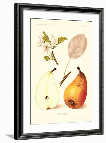 Clairgeaus Pears-null-Framed Art Print