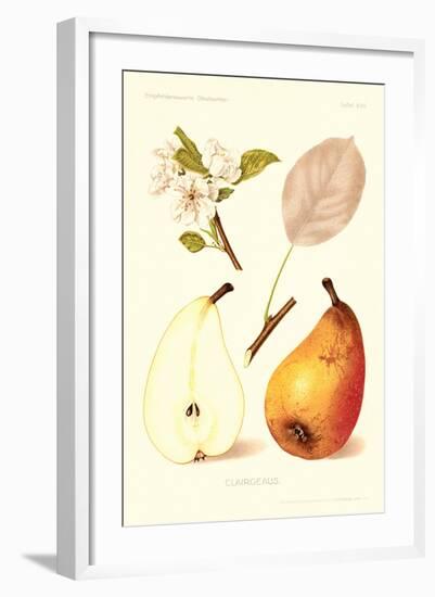 Clairgeaus Pears-null-Framed Art Print