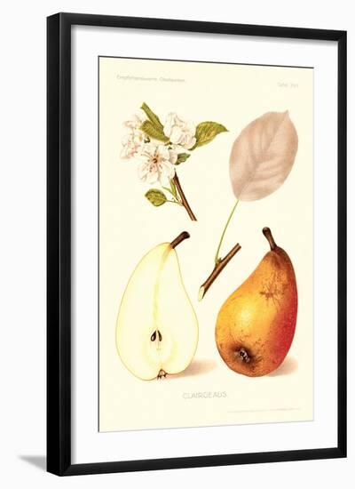 Clairgeaus Pears-null-Framed Art Print