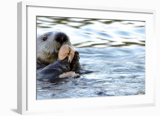 Clam Bake Otter Style-Latitude 59 LLP-Framed Photographic Print