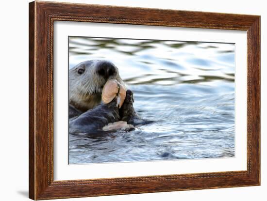 Clam Bake Otter Style-Latitude 59 LLP-Framed Photographic Print