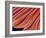 Clam's Gill, SEM-Susumu Nishinaga-Framed Photographic Print