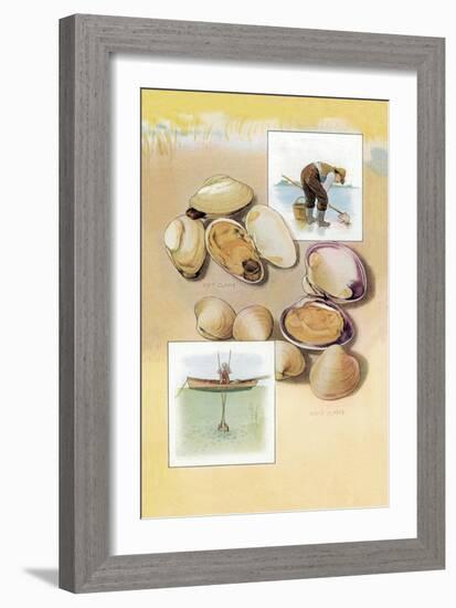 Clams-null-Framed Art Print