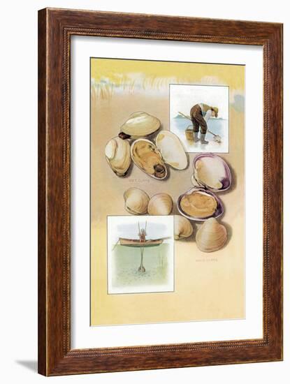 Clams-null-Framed Art Print