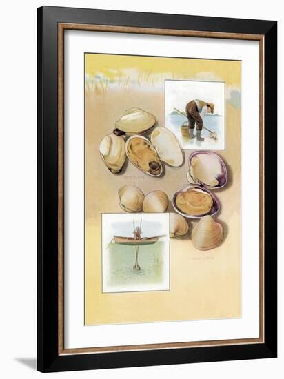 Clams-null-Framed Art Print