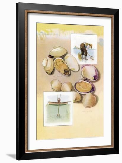 Clams-null-Framed Art Print