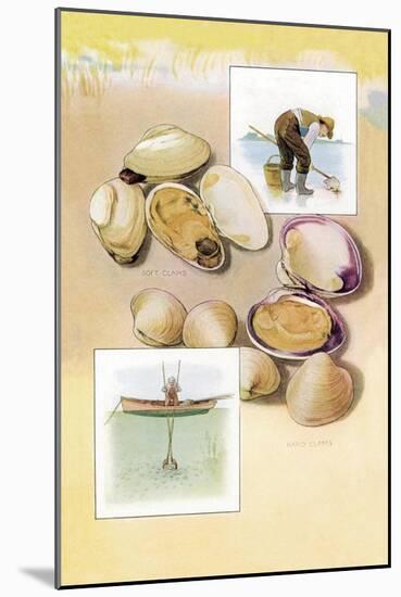 Clams-null-Mounted Art Print