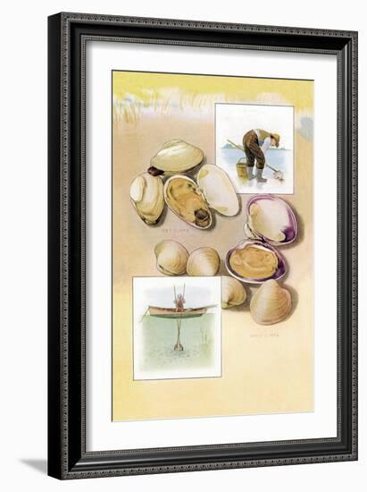 Clams-null-Framed Art Print