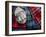 Clan Tartans, Inverness, Scotland-Paul Harris-Framed Photographic Print