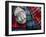 Clan Tartans, Inverness, Scotland-Paul Harris-Framed Photographic Print