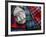 Clan Tartans, Inverness, Scotland-Paul Harris-Framed Photographic Print