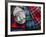 Clan Tartans, Inverness, Scotland-Paul Harris-Framed Photographic Print