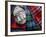 Clan Tartans, Inverness, Scotland-Paul Harris-Framed Photographic Print