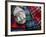 Clan Tartans, Inverness, Scotland-Paul Harris-Framed Photographic Print