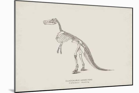 Claosaurus-The Vintage Collection-Mounted Giclee Print