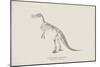Claosaurus-The Vintage Collection-Mounted Giclee Print