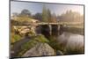 Clapper Bridge at Postbridge, Dartmoor, Devon, UK-Ross Hoddinott-Mounted Photographic Print