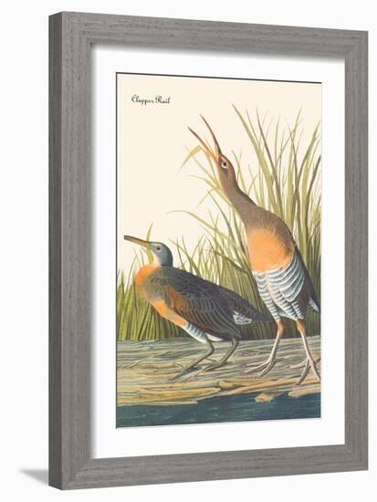 Clapper Rail-John James Audubon-Framed Art Print