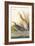 Clapper Rail-John James Audubon-Framed Art Print