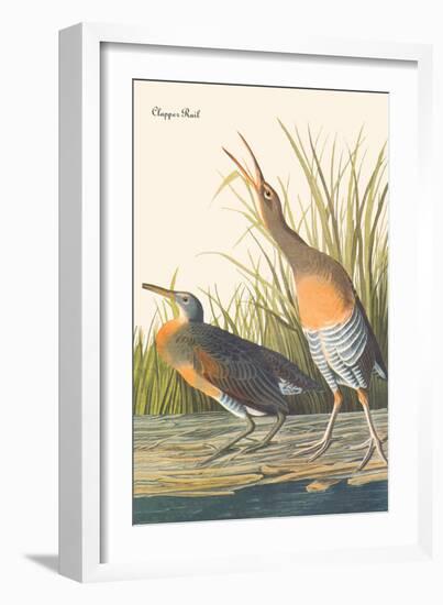 Clapper Rail-John James Audubon-Framed Art Print