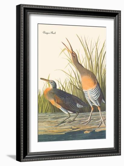 Clapper Rail-John James Audubon-Framed Art Print