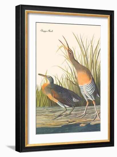 Clapper Rail-John James Audubon-Framed Art Print