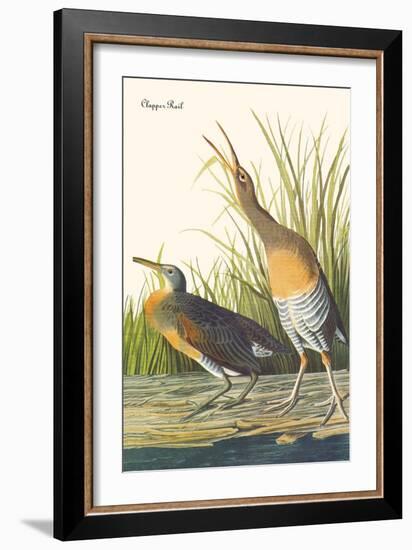 Clapper Rail-John James Audubon-Framed Art Print