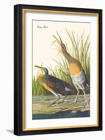 Clapper Rail-John James Audubon-Framed Art Print