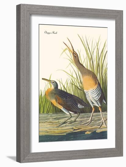Clapper Rail-John James Audubon-Framed Premium Giclee Print