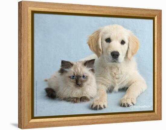 Clara and Cassie-Rachael Hale-Framed Stretched Canvas