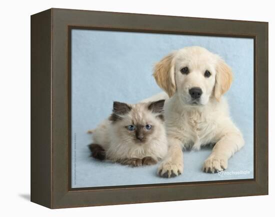 Clara and Cassie-Rachael Hale-Framed Stretched Canvas